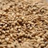 SCHILL KOLSCH MALT 1 LB