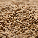 SIMPSONS PEATED MALT 1 LB