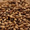 WEYERMANN CARABELGE MALT 1 LB