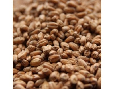 AVANGARD WHEAT MALT 1 LB