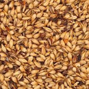 BRIESS 2-ROW CARAMEL MUNICH 60L MALT 1 LB