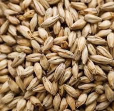 BRIESS 2-ROW AROMATIC MUNICH 20L MALT 1 LB