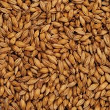 BRIESS GOLDPILS VIENNA MALT 1 LB