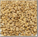 BRIESS TORRIFIED WHEAT MALT 1 LB