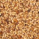 BRIESS 2-ROW CARAMEL 20L MALT 1 LB