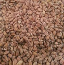 BRIESS RED WHEAT MALT 1 LB