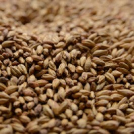 BRIESS 2-ROW SPECIAL ROAST MALT 1 LB