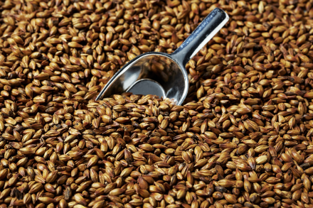 SWAEN AROMA MALT 1 LB