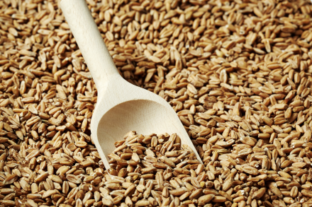 SWAEN BROWN SUPREME MALT 1 LB