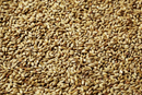 SWAEN HELL MALT 1 LB