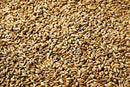 SWAEN MELANY (MELANODIN) MALT 1 LB