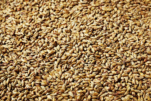 SWAEN MELANY (MELANODIN) MALT 1 LB
