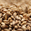 WEYERMANN CARAAMBER MALT 1 LB