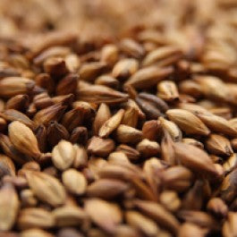 WEYERMANN CARAMUNICH TYPE 2 MALT 1 LB