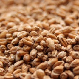WEYERMANN PALE WHEAT MALT 1 LB